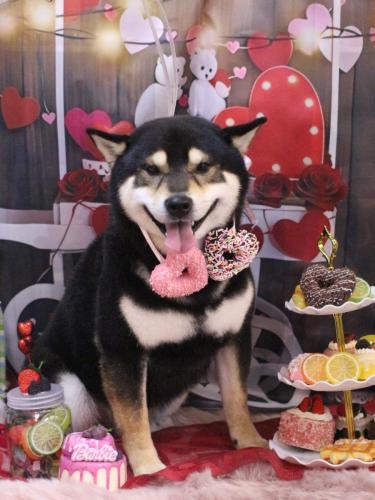 20250215ココくん